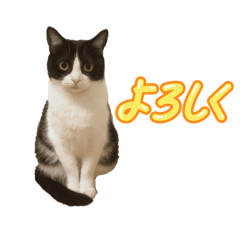 ohagi_20250826202527