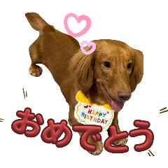 hinata_20250826201003