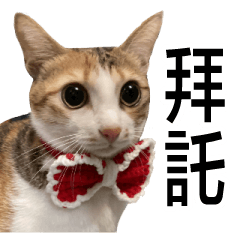 大吉的日常用語