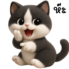 แมวขาวดำสายน่ารัก