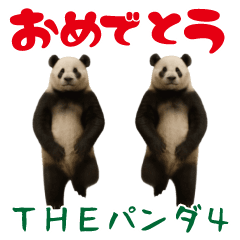 THE PANDA4