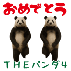 THE PANDA4