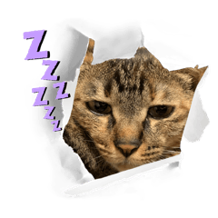 happy_20250826211846