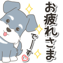 やさしいシュナウザー『仕事＆連絡』