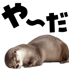 Moving giant text otter Sticker2