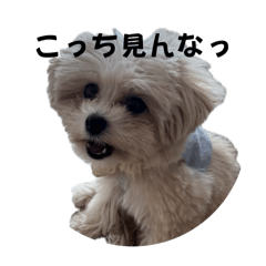 yuka_20250827131500