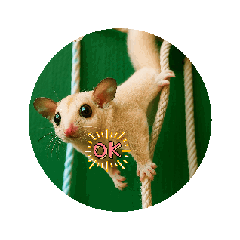 Car rental service_20250828154103