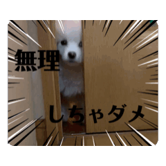 Haru_20250828173032