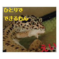 tyutoro_20250828162849