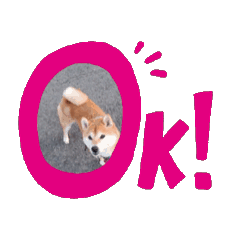 Himawari_20250828213114