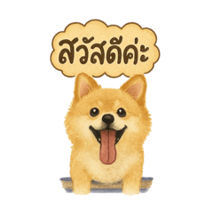 Chompoo_20250828125632