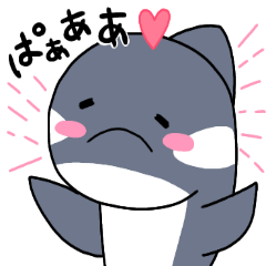 シャチノコさん