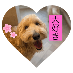 rinka_20250828172320