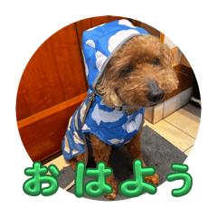 HARUKA_20250828173300