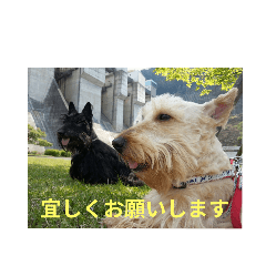 masayoshi nakayama_20250828203340