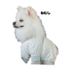 okuni_20250828125705