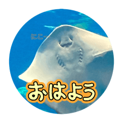 ARISA's_20250828135745