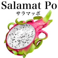 Tropical Dragon Fruit 22