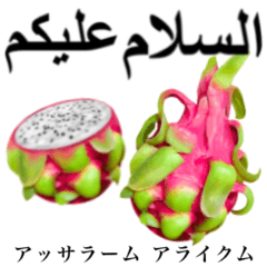 Tropical Dragon Fruit 19