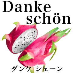 Tropical Dragon Fruit 23