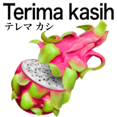 Tropical Dragon Fruit 21