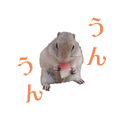 miyuchi_20250828141652