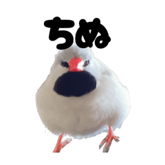 IKU_20250828174138