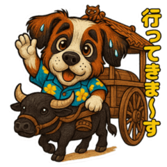 真夏のセントバーナード