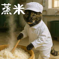 Taiwan Cats Rice & Sake Making