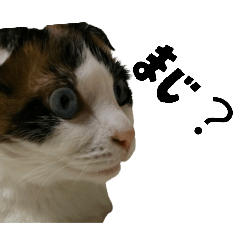 atatyan_20250828214811