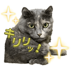 kana_20250828225816