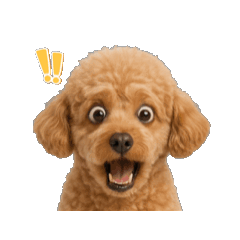 表情で伝える♡トイプースタンプ