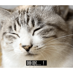 We understand that we are pretty