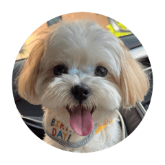 takashi_20250828144809