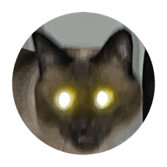 m_20250829001207