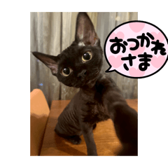 kinako_20250829001235