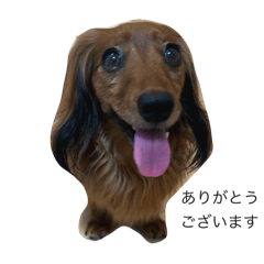 Kurumi_20250828160607