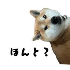 a8538759624886807566