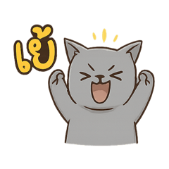 Heng gray cat