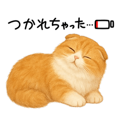 「スコティッシュフォールド」のスタンプ③