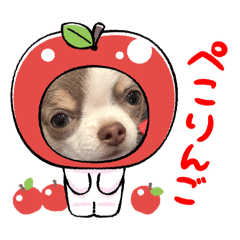 YURIKA_20250828200220