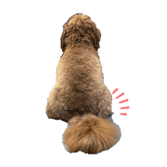 Ethan_20250828210329