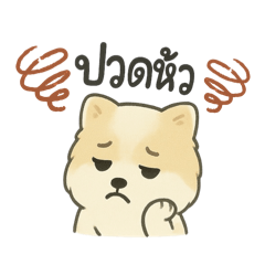 PP romklao col.AI