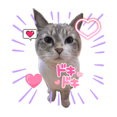 Carrot_20250828210818