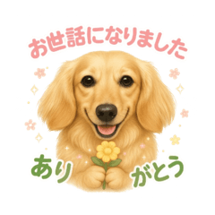 やさしい敬語のダックススタンプSY