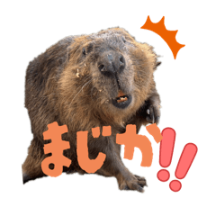 Kana_20250828221627