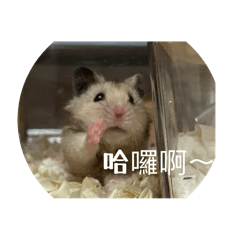 我可愛的麻吉～