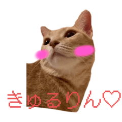 m_20250829081015