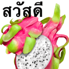 Tropical Dragon Fruit 8
