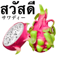 Tropical Dragon Fruit 6